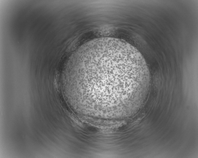 X0000056360181200509161838