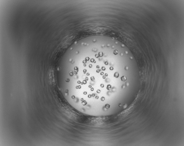 X0000056360182200509161838