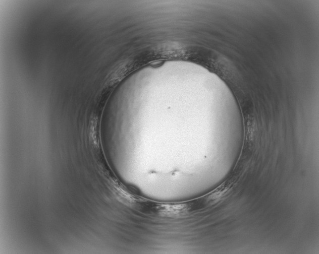 X0000056360185200509161838