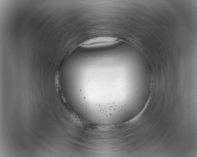 X0000056360190200509161838