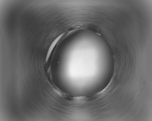 X0000056360192200509161838