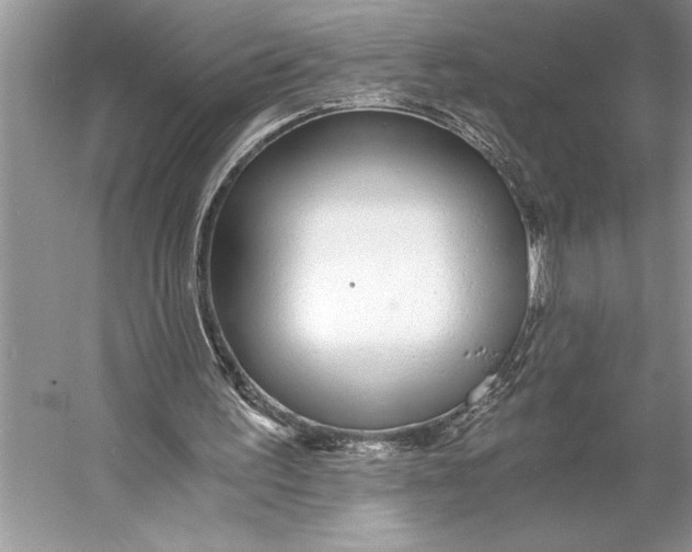 X0000056360195200509161837