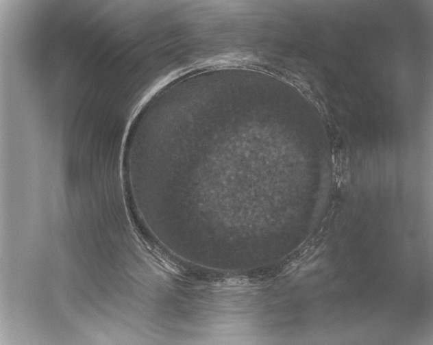 X0000056360196200509161837