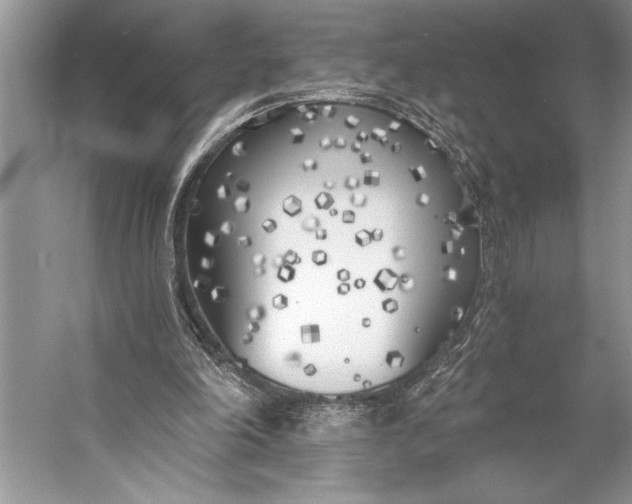 X0000056360198200509161837