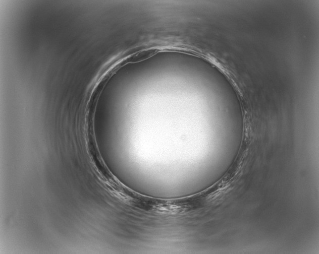 X0000056360199200509161837