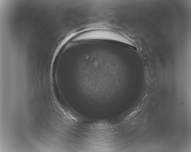 X0000056360200200509161837