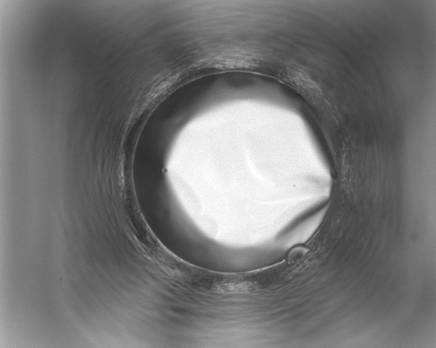 X0000056360202200509161837