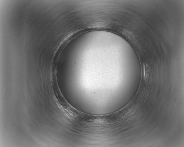 X0000056360204200509161837