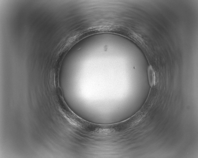 X0000056360205200509161837