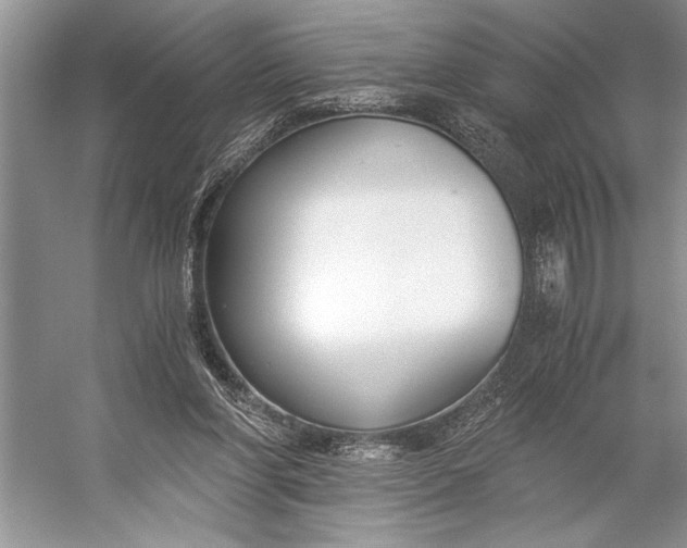 X0000056360206200509161837