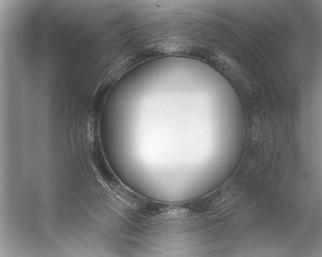 X0000056360210200509161837