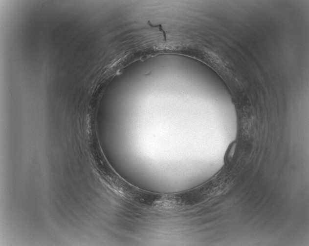 X0000056360211200509161837