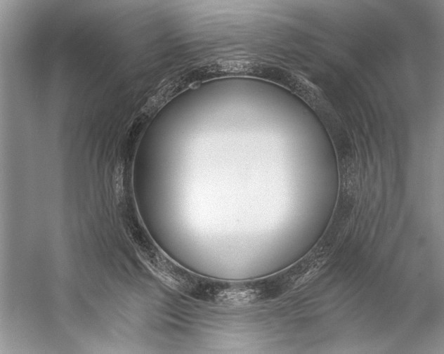 X0000056360213200509161837