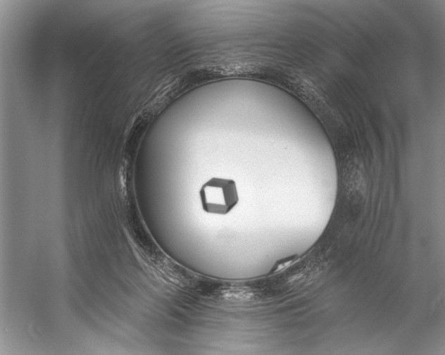 X0000056360214200509161837