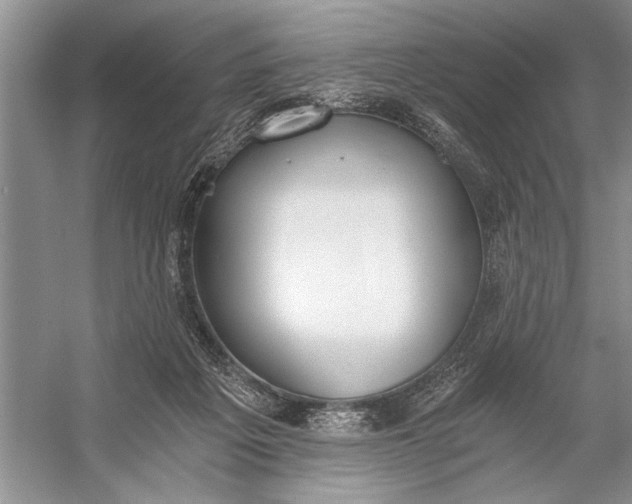 X0000056360217200509161837