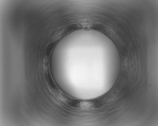 X0000056360218200509161837