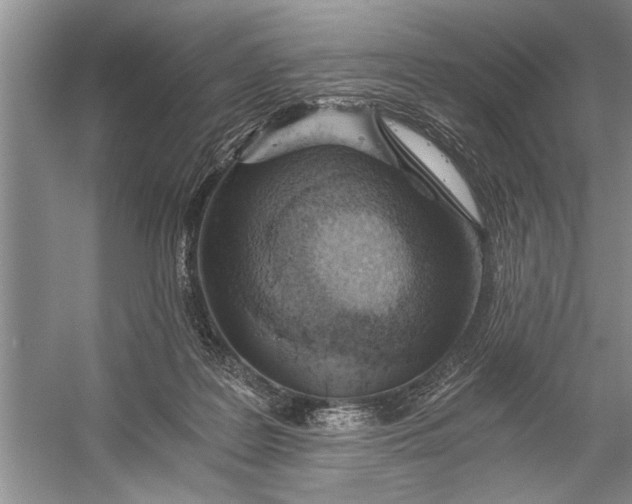 X0000056360219200509161837