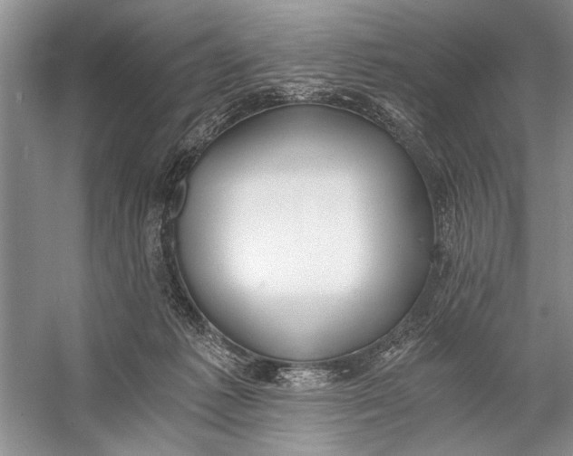 X0000056360221200509161836