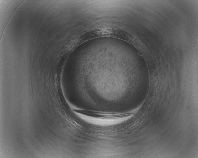 X0000056360223200509161836