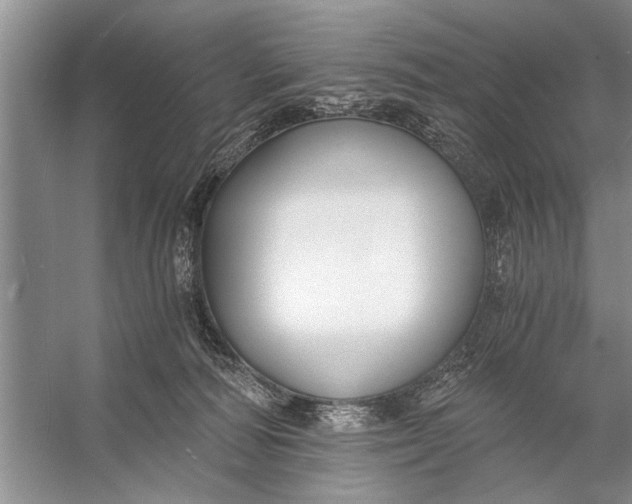 X0000056360226200509161836