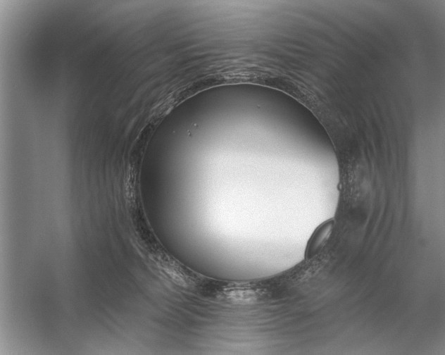 X0000056360228200509161836