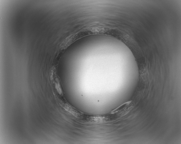 X0000056360233200509161836