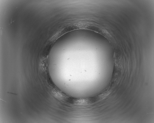 X0000056360237200509161836