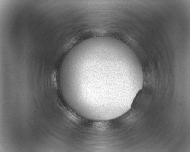 X0000056360238200509161836