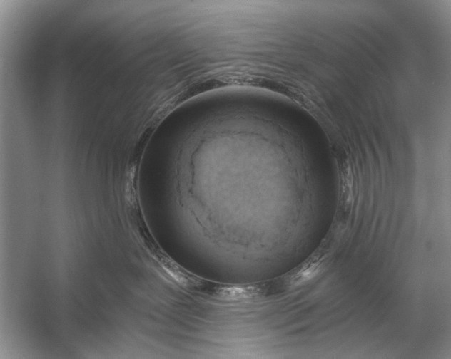 X0000056360239200509161836