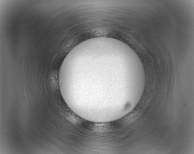 X0000056360240200509161836