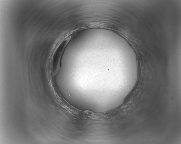 X0000056360241200509161835