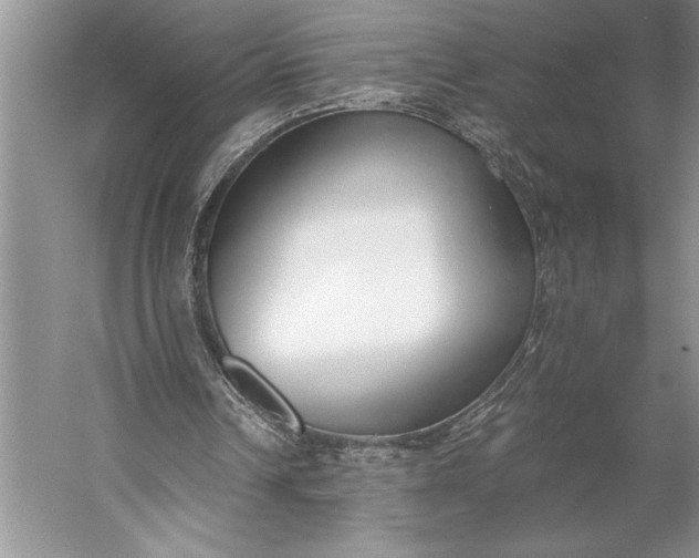 X0000056360242200509161835