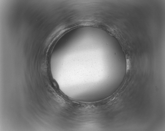 X0000056360243200509161835