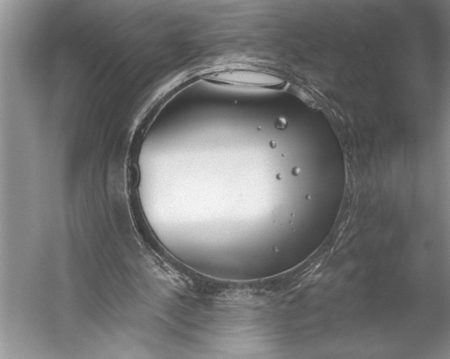 X0000056360244200509161835