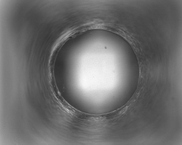 X0000056360245200509161835