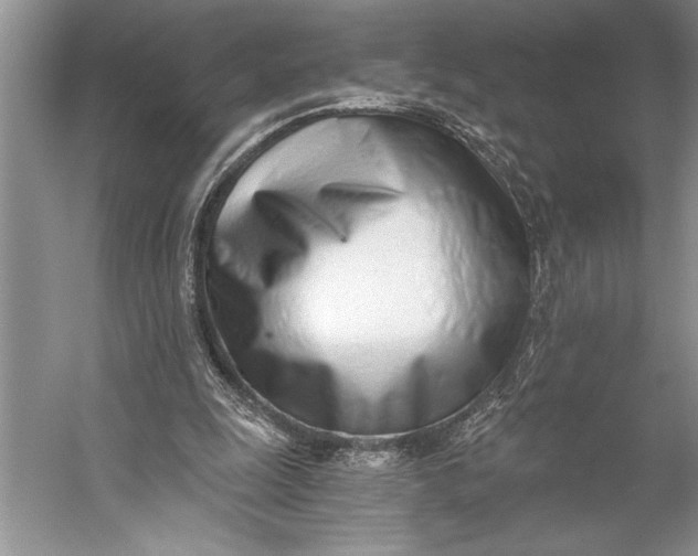 X0000056360247200509161835