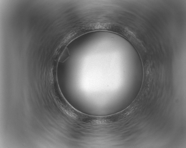 X0000056360250200509161836