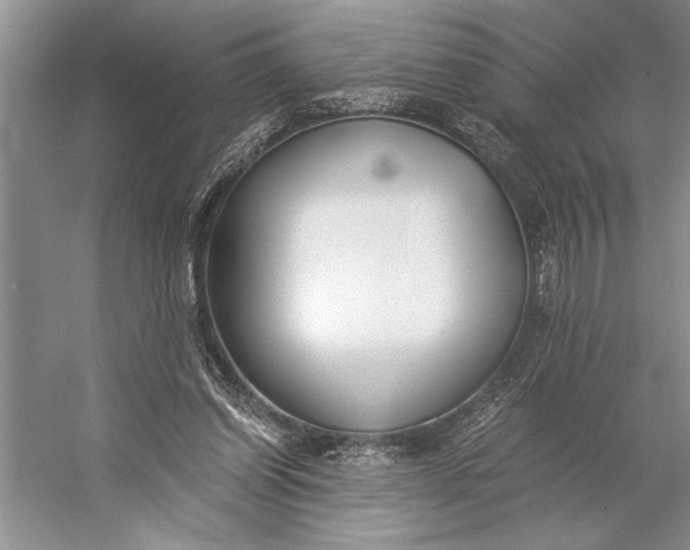 X0000056360254200509161836