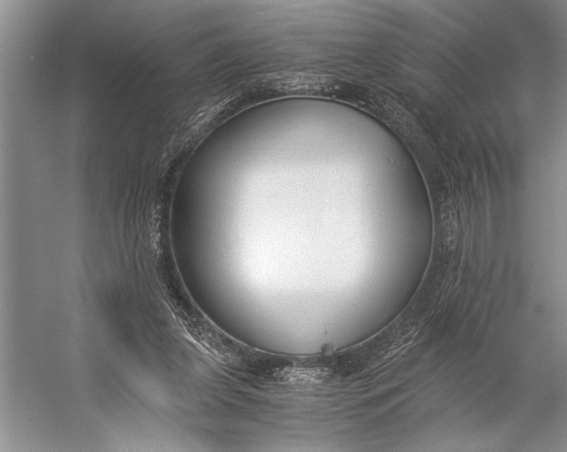 X0000056360255200509161836