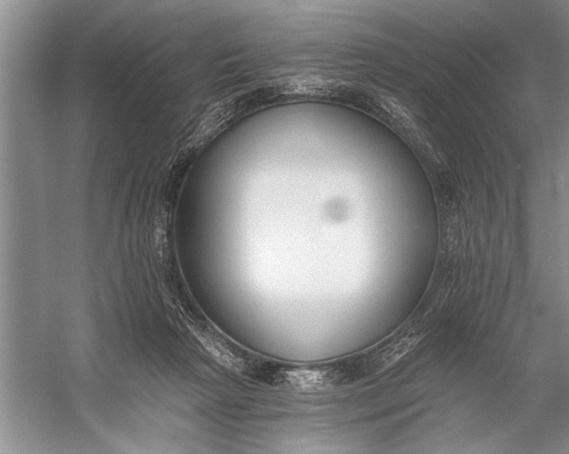 X0000056360265200509161836