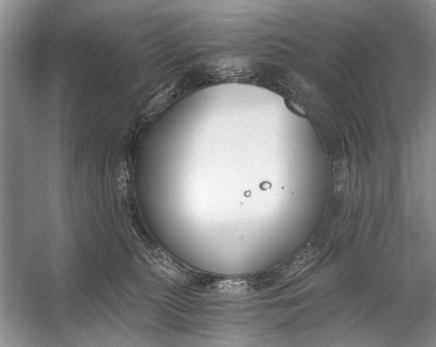 X0000056360279200509161836