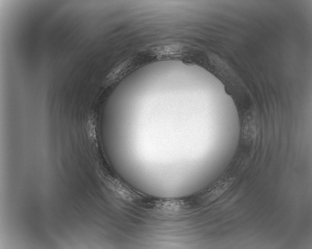 X0000056360282200509161836