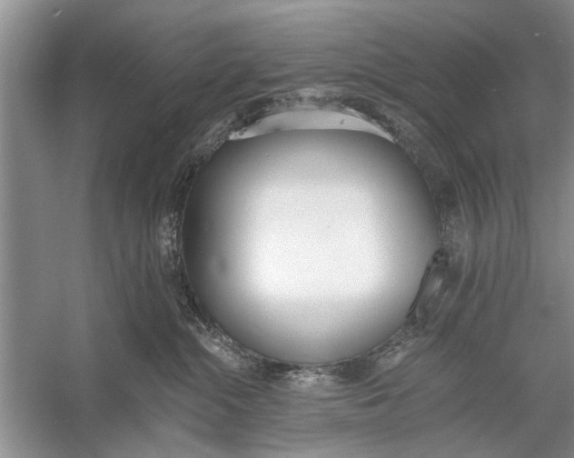 X0000056360284200509161836