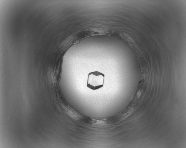 X0000056360285200509161836