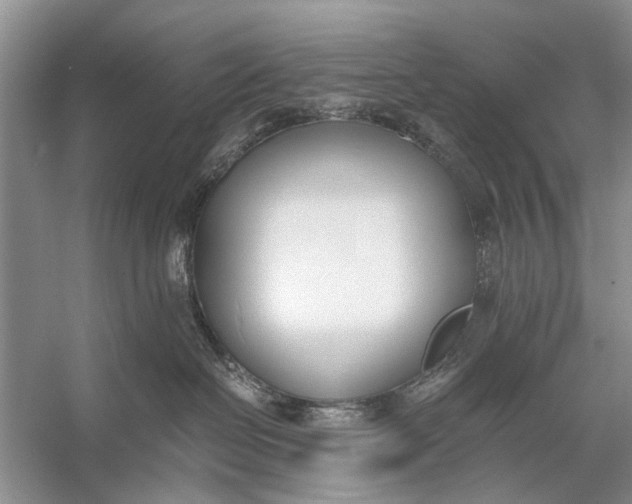 X0000056360286200509161836