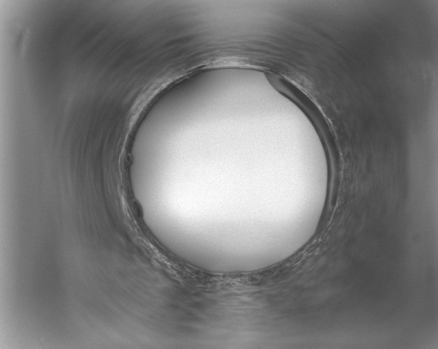 X0000056360289200509161835