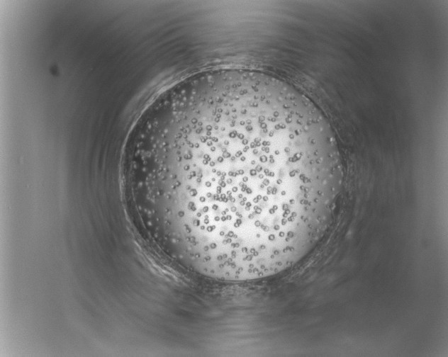 X0000056360290200509161835