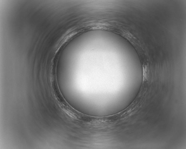 X0000056360291200509161835