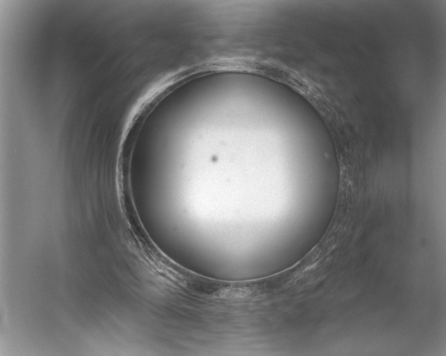 X0000056360294200509161835