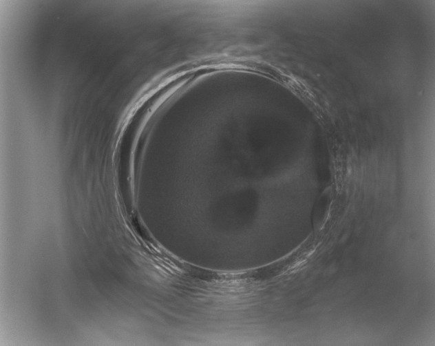 X0000056360295200509161835